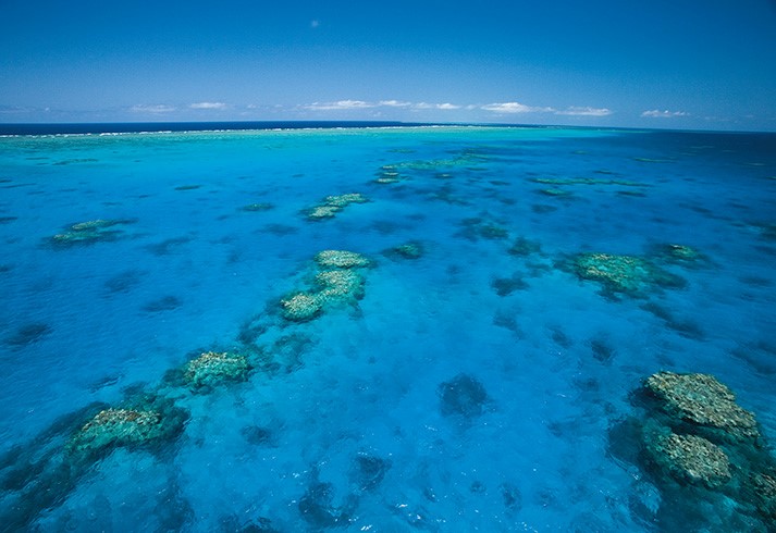 Aerial view of the Great Barrier Reef corals