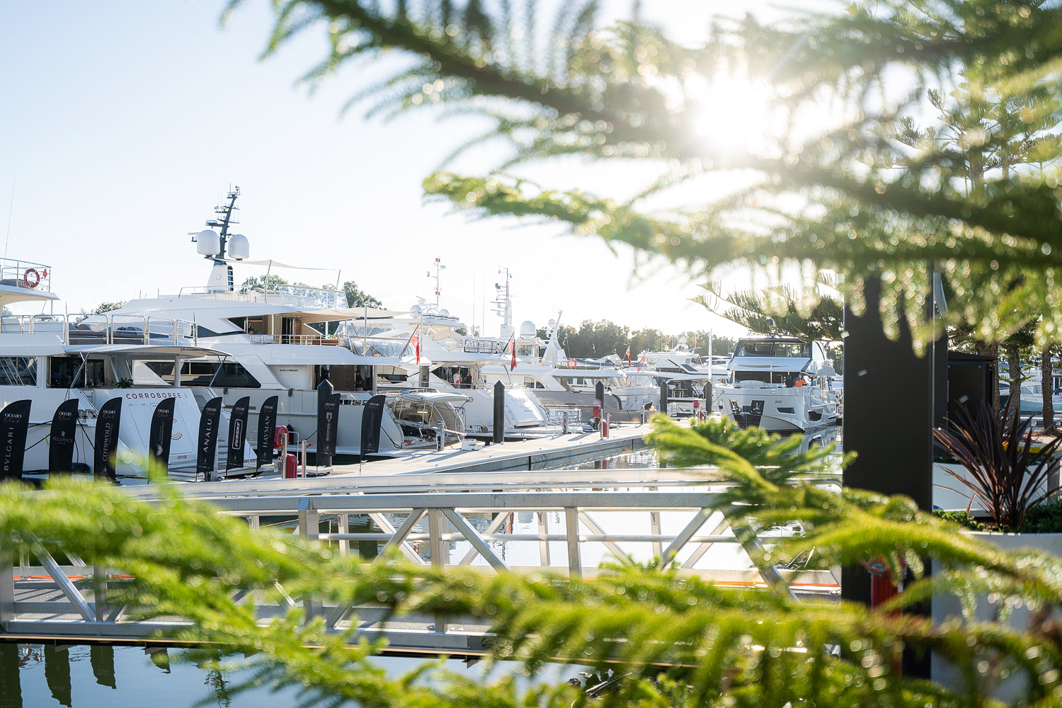 2021 SCIBS sails into the record books