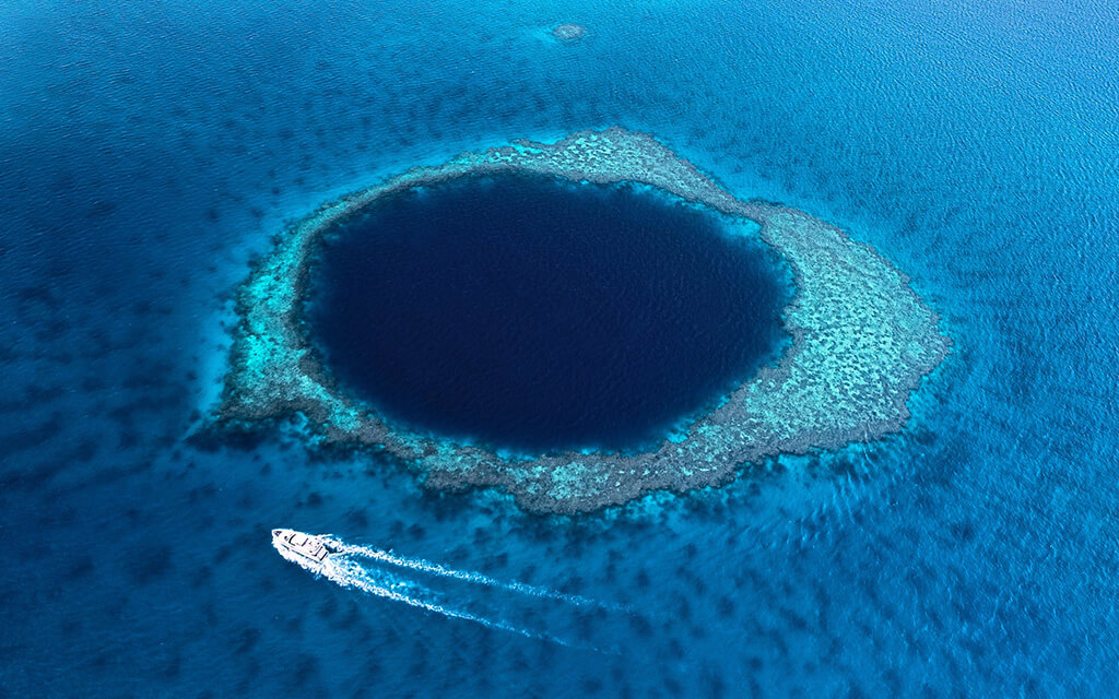 The Great Barrier Reef Census Project